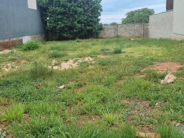 #76 - Área para Venda em Porto Rico - PR - 2