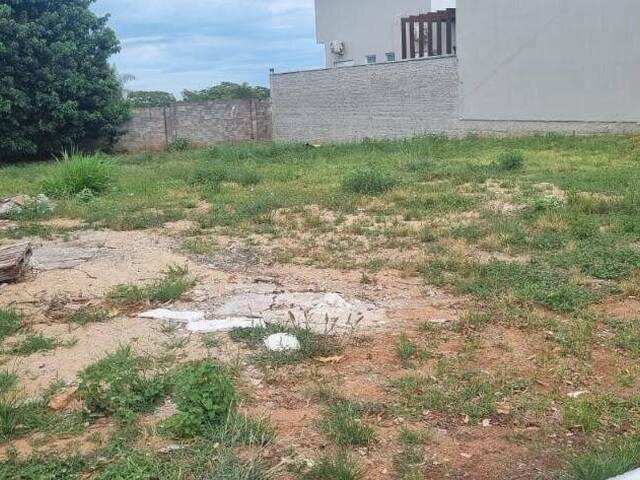 #76 - Área para Venda em Porto Rico - PR - 1