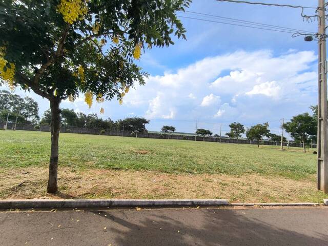 #80 - Área para Venda em Paranavaí - PR - 2