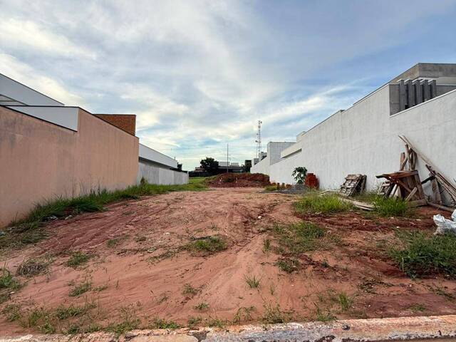 Área para Venda em Paranavaí - 4
